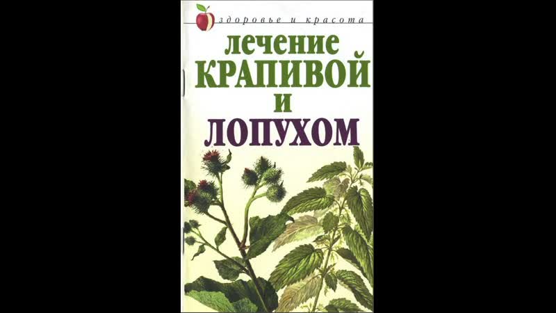 Лекарственные травы.Лопух
