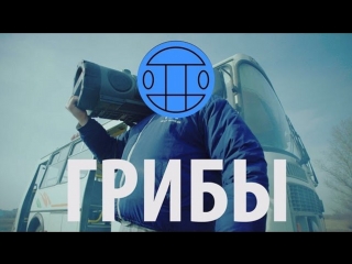 Грибы - Тает Лёд