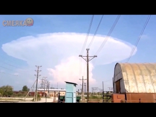 Приколы август 2016 №148