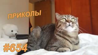 Приколы январь 2020 №654